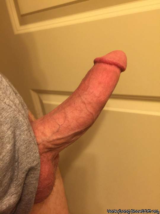 Hard and ready to fuck...