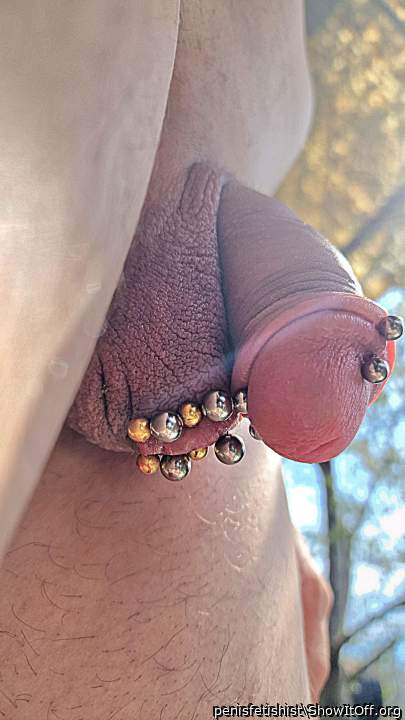 With those beautiful piercings you might want to get her cir