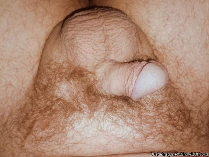 Adult image from Justadragon40