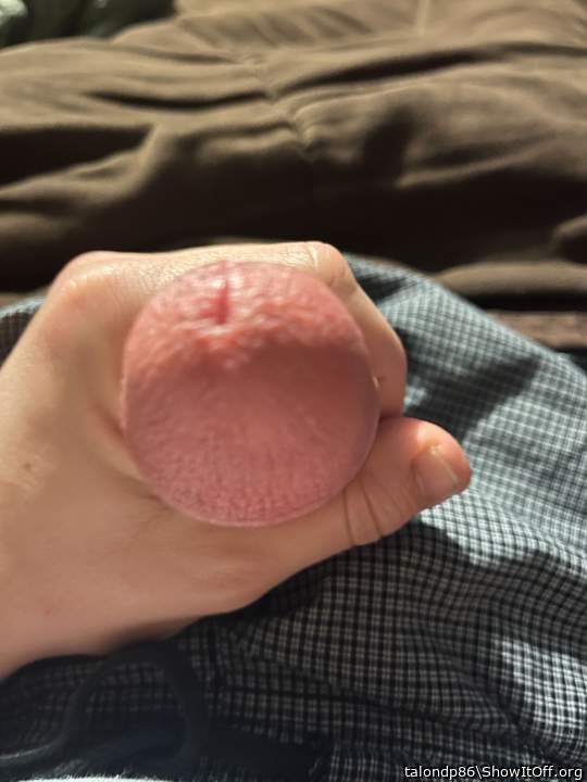 Adult image from talondp86