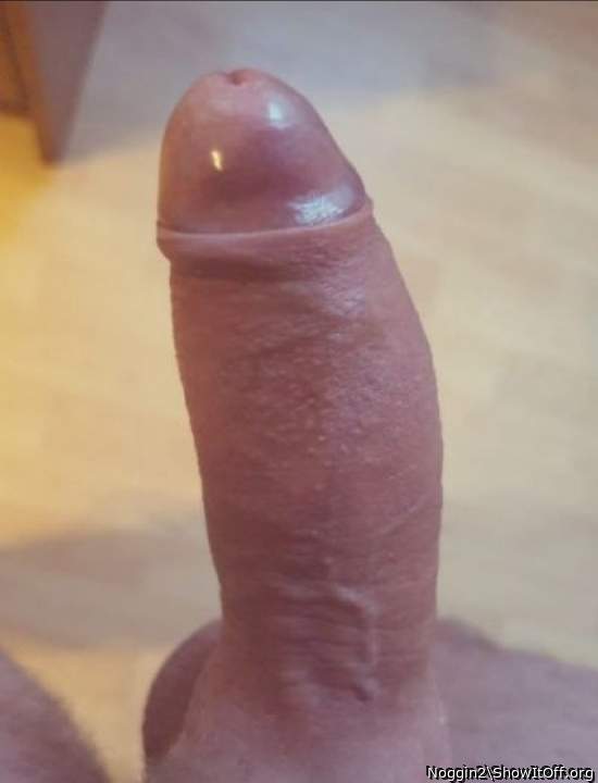 Adult image from Noggin2