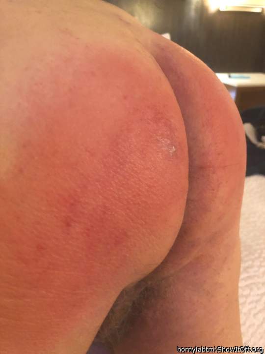 Adult image from hornylabtm