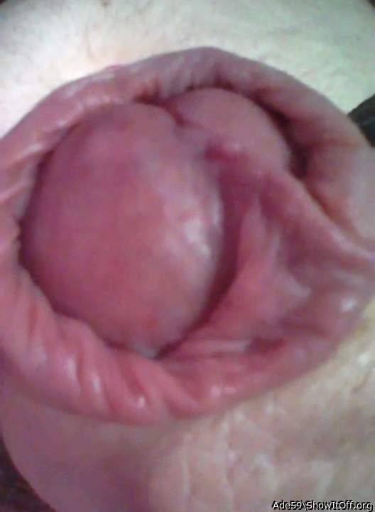 My tongue wants to frot


you for an hour or 2...with fre