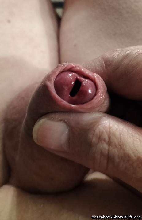 Adult image from charebox