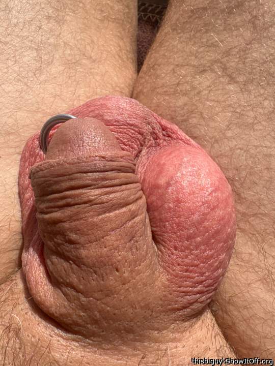 Adult image from thisbiguy