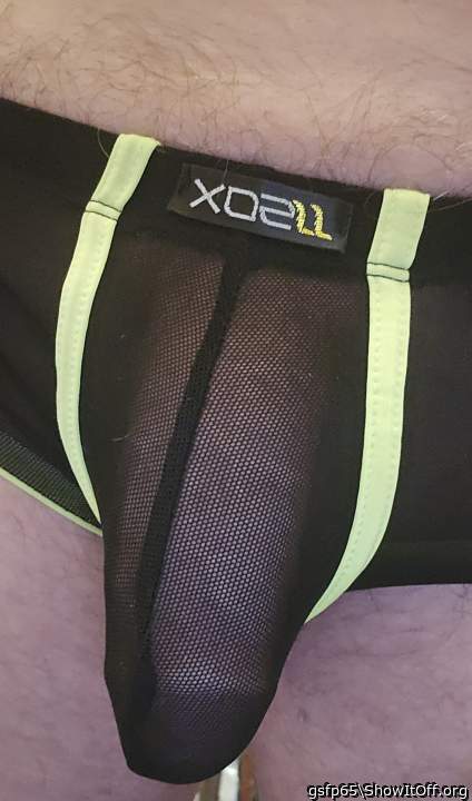 Adult image from gsfp65