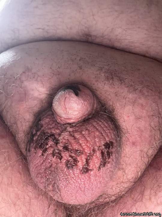 Adult image from Arinn