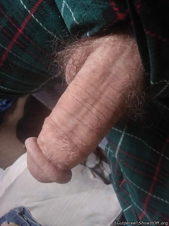 Stunning cock - thank you !