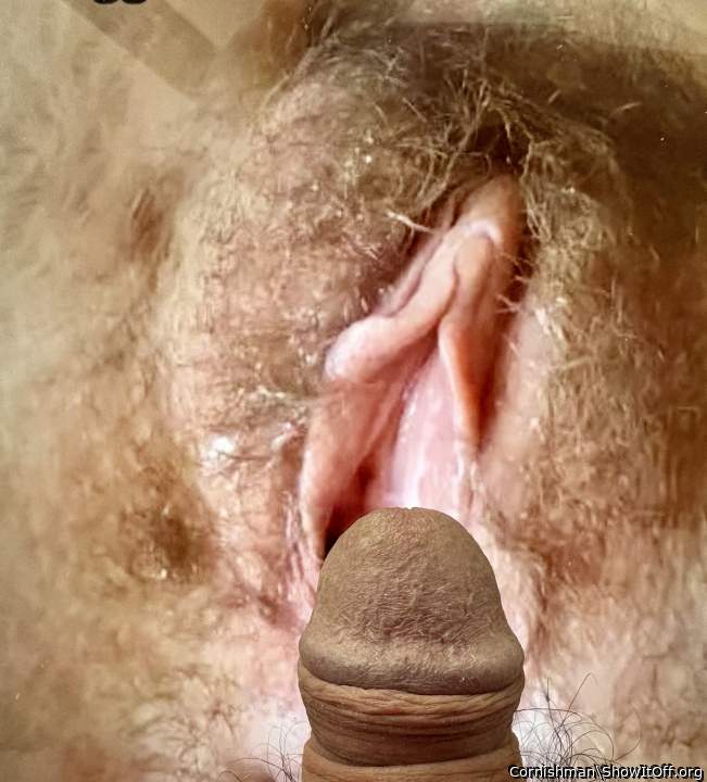 Adult image from Cornishman