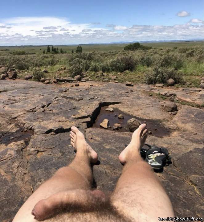 Adult image from Jaco86