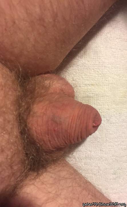 Cute little soft penis, I like it  