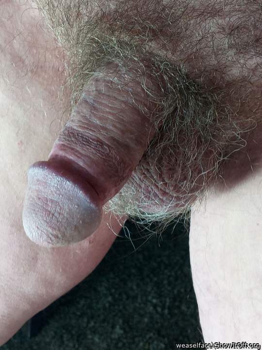 Adult image from weaselface