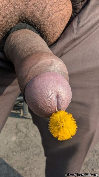 Adult image from Biker