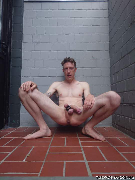 Adult image from T1M0R1