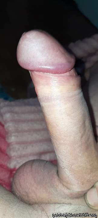 my hard and shaved dick)