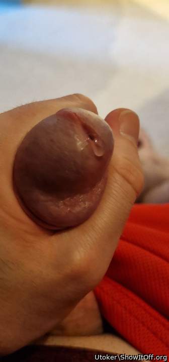 Adult image from Utoker
