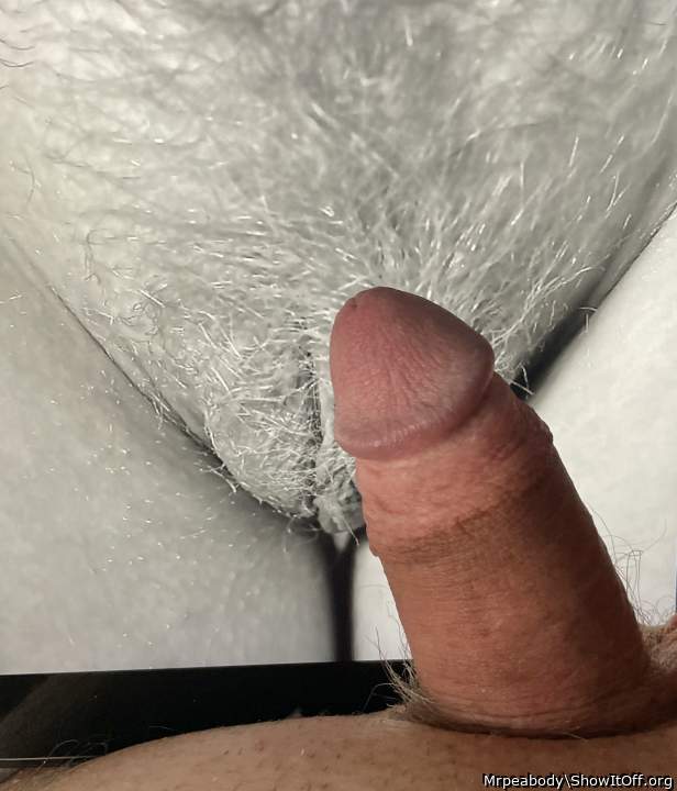 3 /member.php?w=515631