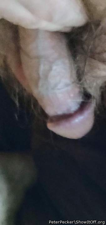 Adult image from PeterPecker