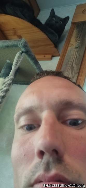 Adult image from BHart333