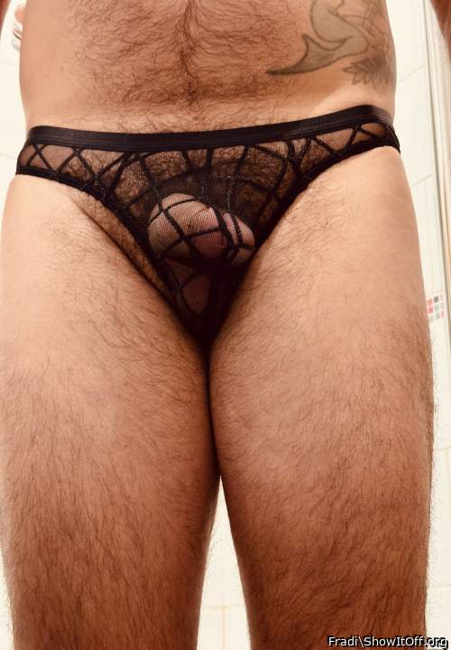 Adult image from Fradi