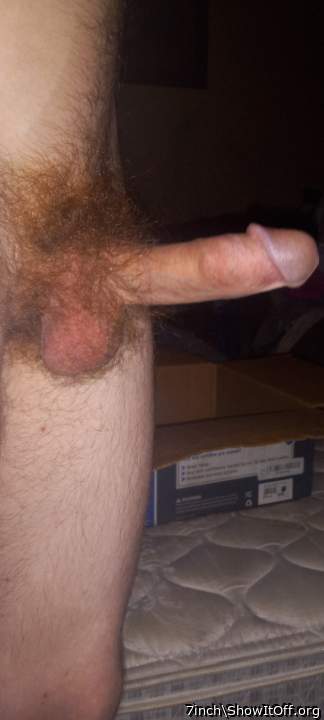 I feel like I have a pretty nice Cock