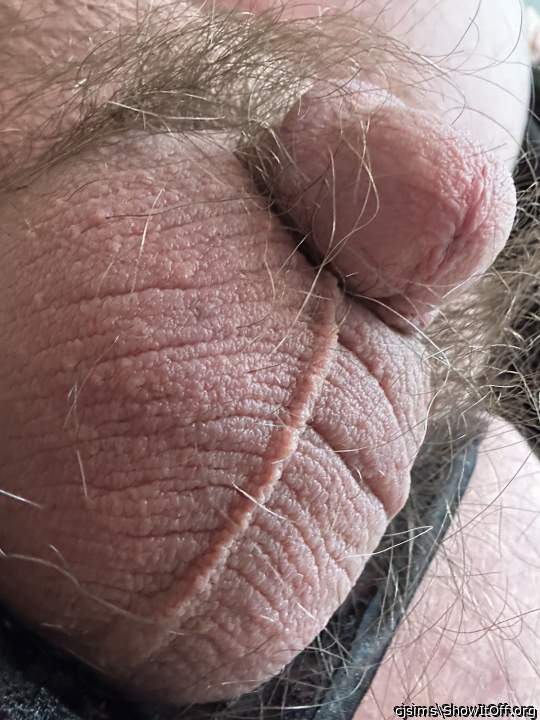 Adult image from cjsims