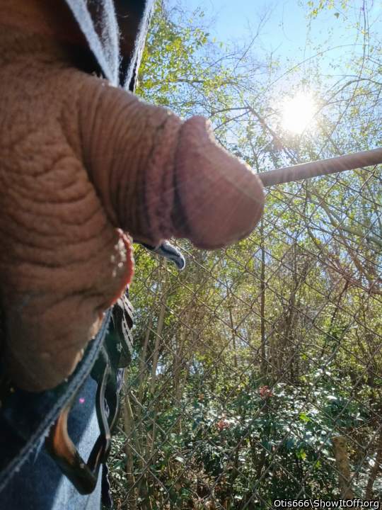 Adult image from Otis666