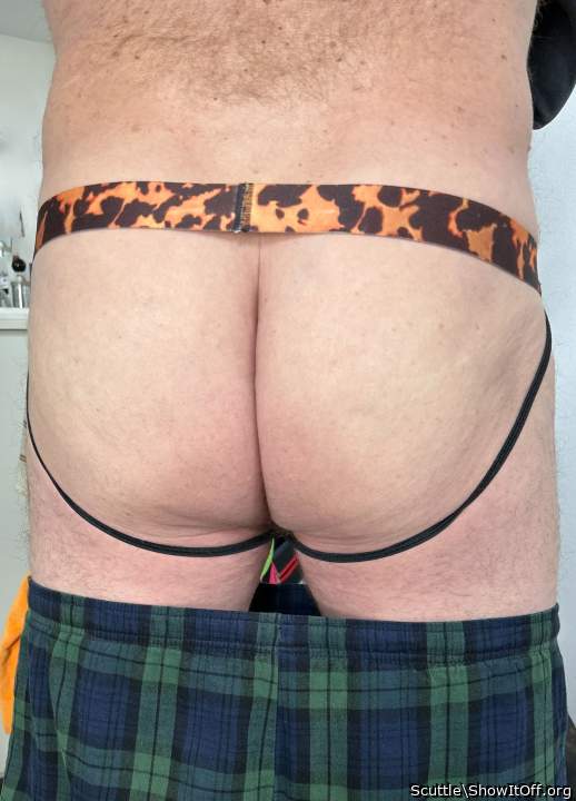 Adult image from Scuttle