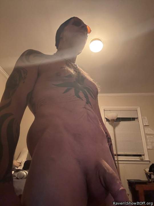 Adult image from Raven