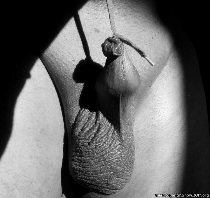 Adult image from neednopants