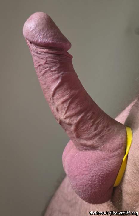 Superb erection.