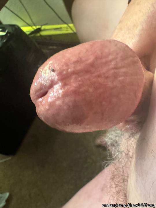 Adult image from misterplump