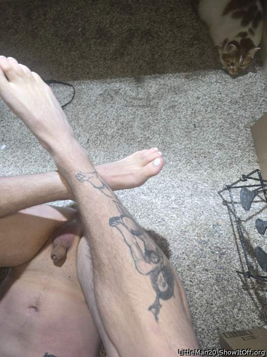 Adult image from LittleMan20