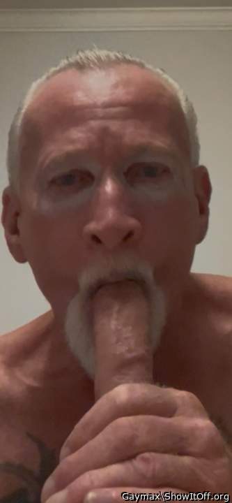 Adult image from Gaymax