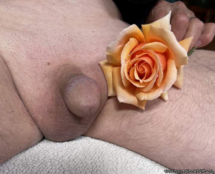 Just Joey and my cock