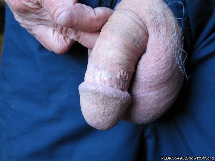 Adult image from PEDRO6491