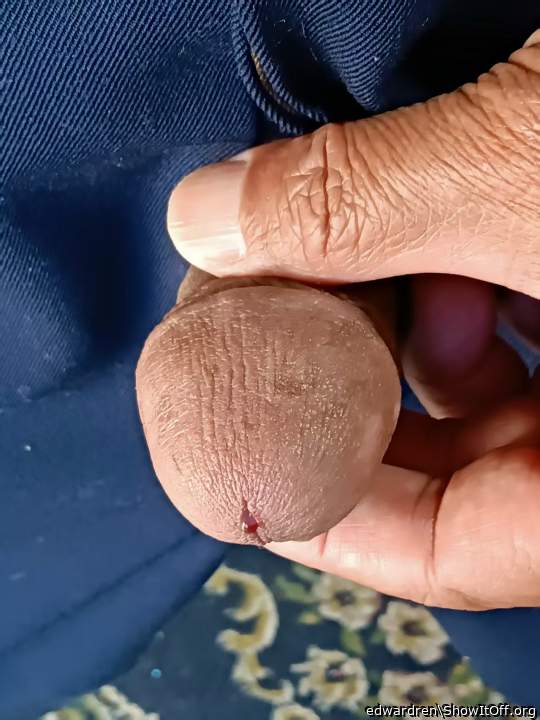 Adult image from edwardren