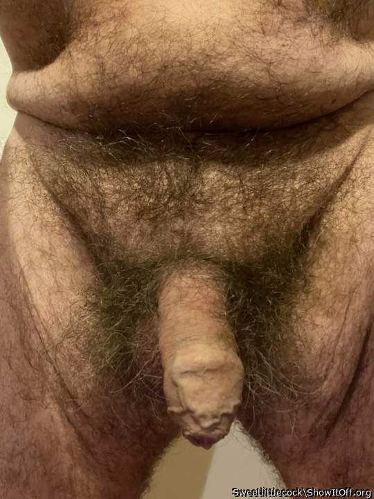 Adult image from Sweetlittlecock