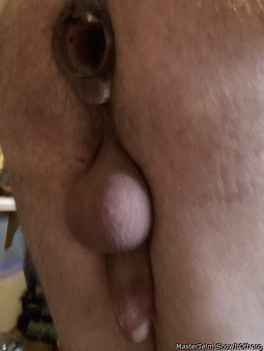 Adult image from MasterTelm