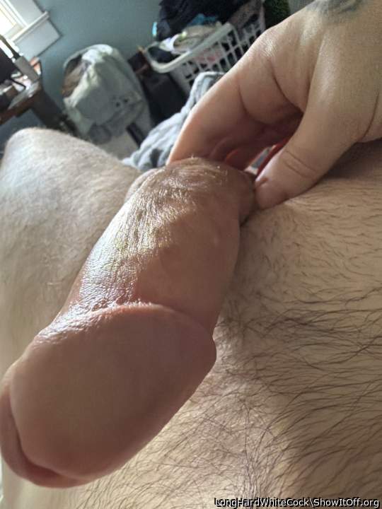 Adult image from LongHardWhiteCock