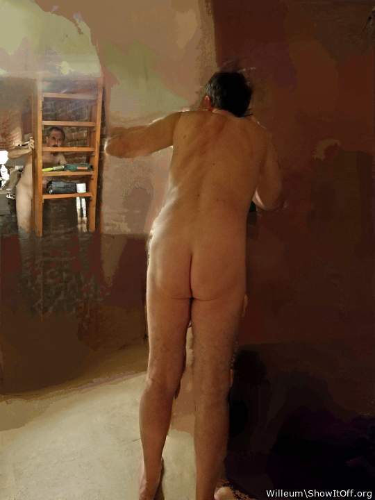 Adult image from Willeum