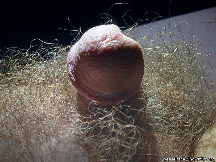 Adult image from weaselface