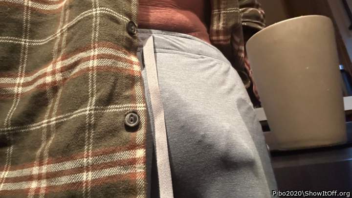 Adult image from Pibo2020