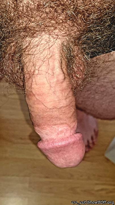 Horny view at a nice hairy penis.