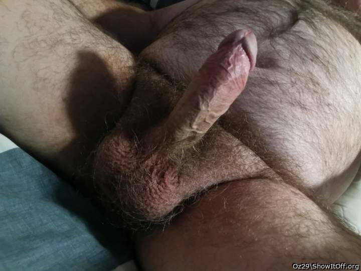Adult image from Oz29