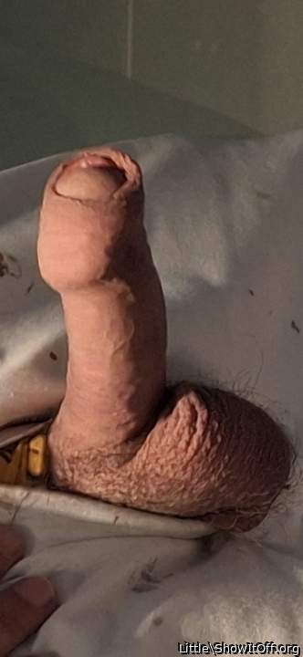 Adult image from Little