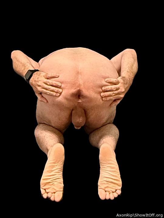 Adult image from AxonRip