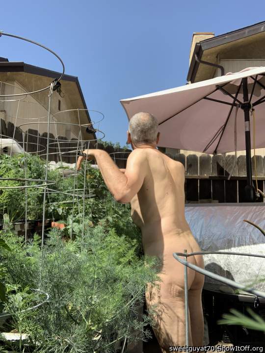 Look for neighbourly love🔥. I�ll move in