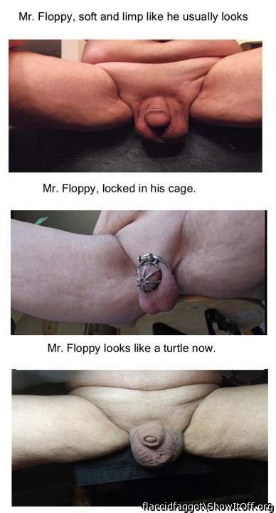 Adult image from flaccidfaggot