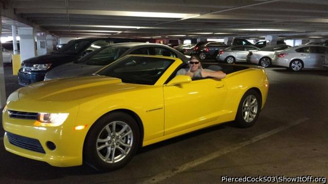 Adult image from PiercedCock503